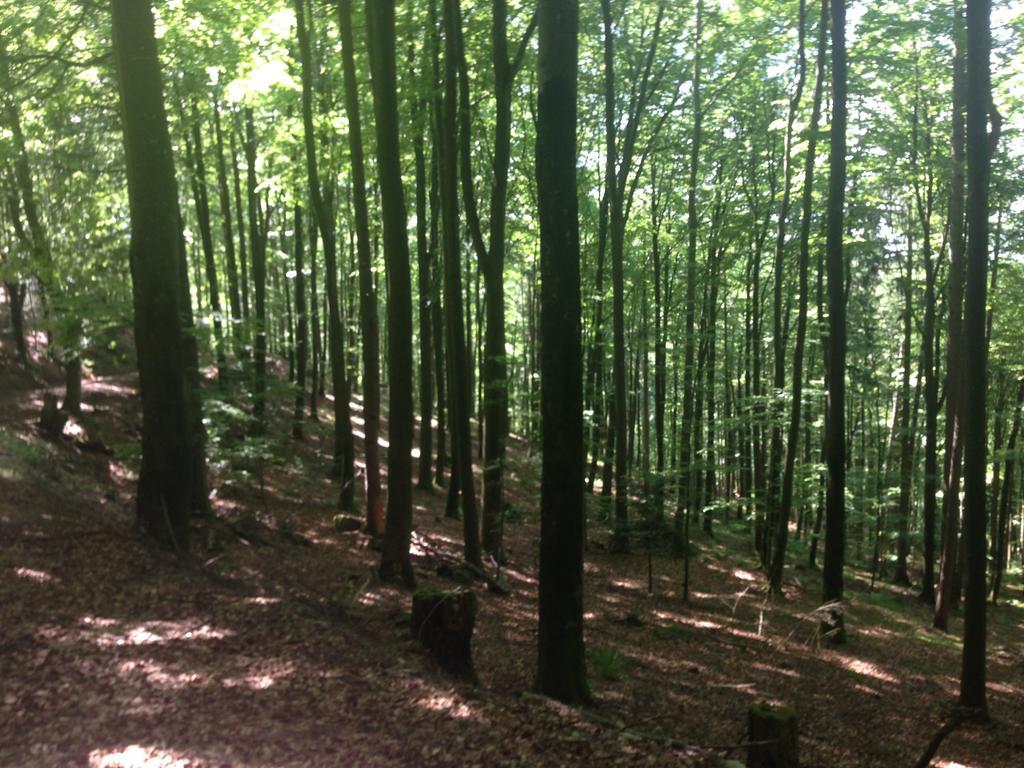 Luxus Appartement Schwarzwald bei Freiburg 4 Schlafzimmer Sauna Sölden Exterior foto